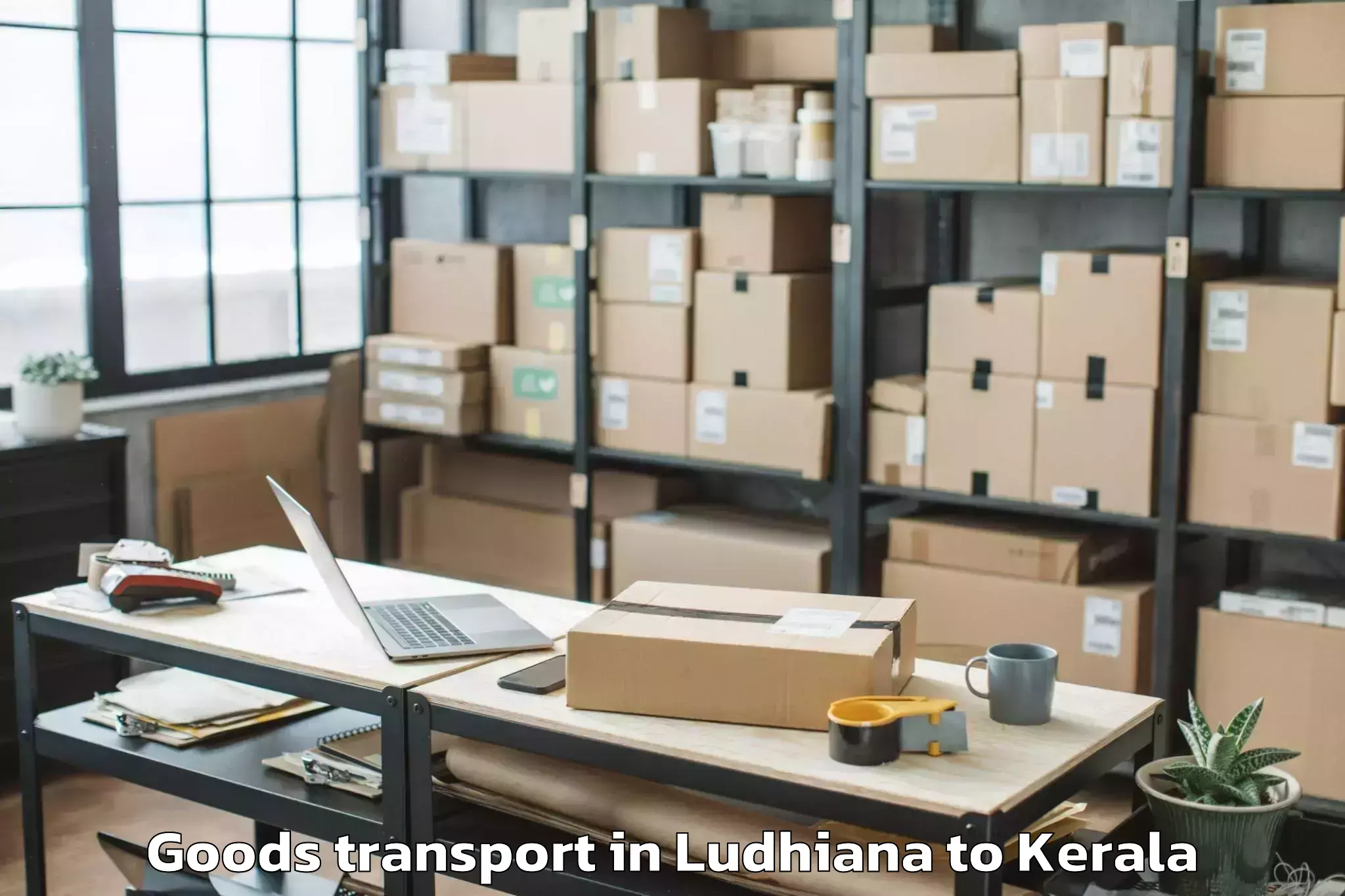 Trusted Ludhiana to Ottapalam Goods Transport